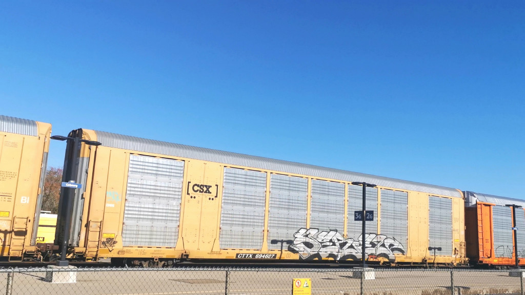 CSX C01013 (Body) CTTX 694627 (Flat)